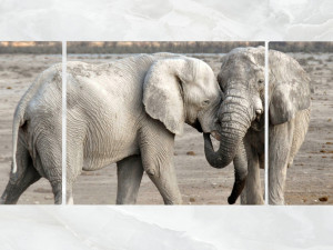 triptych wall art adult elephants 3D 모델