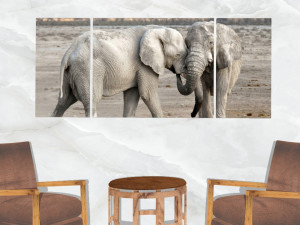 triptych wall art adult elephants Modèle 3D