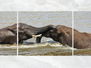 triptych wall art playful elephants 3D Model