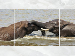 triptych wall art playful elephants 3D Model