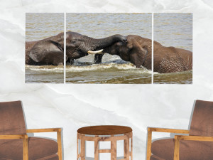 triptych wall art playful elephants 3D Model