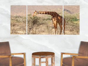 triptych wall art a feeding giraffe 3D Model