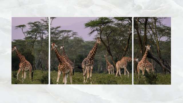triptych wall art herd of giraffe 3D Model .c4d .max .obj .3ds .fbx .stl .blend 