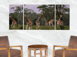 triptych wall art herd of giraffe 3D Model