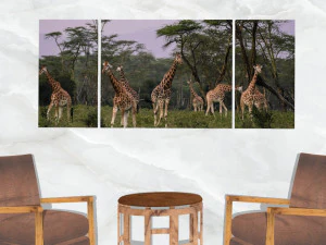 triptych wall art herd of giraffe 3D Model
