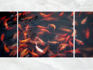 triptych wall art goldfish pond 3D 모델