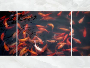 триптих настінне мистецтво золота рибка ставок 3D Модель