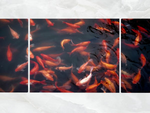 triptych wall art goldfish pond Modelo 3D