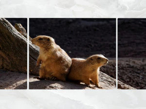 삼부작 벽 예술 포켓 고퍼 3D 모델