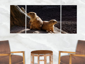 triptych wall art pocket gophers 3Dモデル