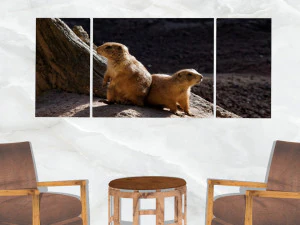 triptych wall art pocket gophers 3D Model