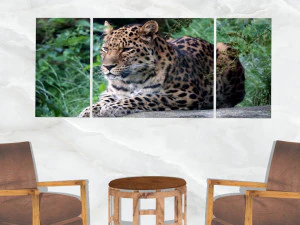 triptych wall art resting leopard 3D Model