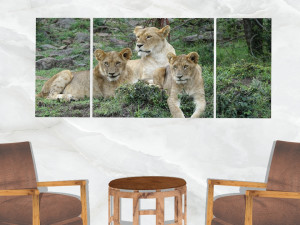 triptych wall art lion cubs 3D-Modell