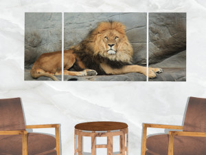 triptych wall art resting lion 3D Модель