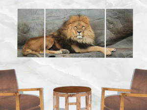 triptych wall art resting lion 3D Model