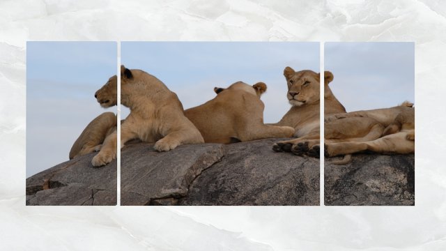 triptych wall art resting lionesses Modello 3D .c4d .max .obj .3ds .fbx .stl .blend 