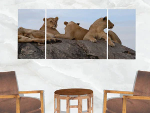 triptych wall art resting lionesses 3D Model