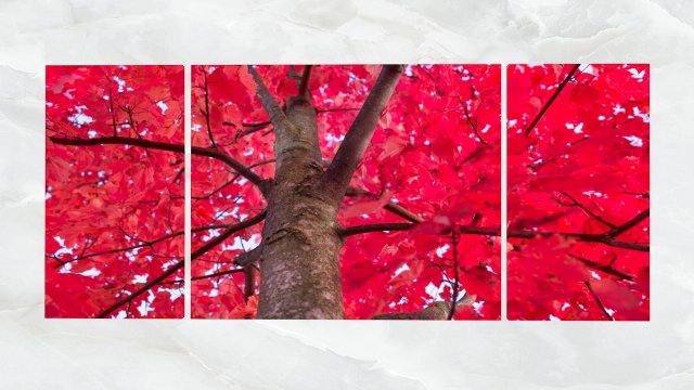triptych wall art red maple tree 3Dモデル .c4d .max .obj .3ds .fbx .stl .blend 