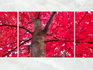 triptych wall art red maple tree 3D 모델