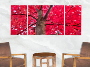 triptych wall art red maple tree 3D Model