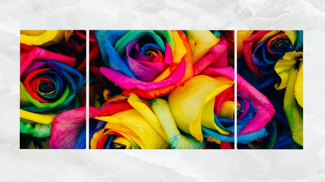 triptych wall art multicolored roses 3D Model .c4d .max .obj .3ds .fbx .stl .blend 