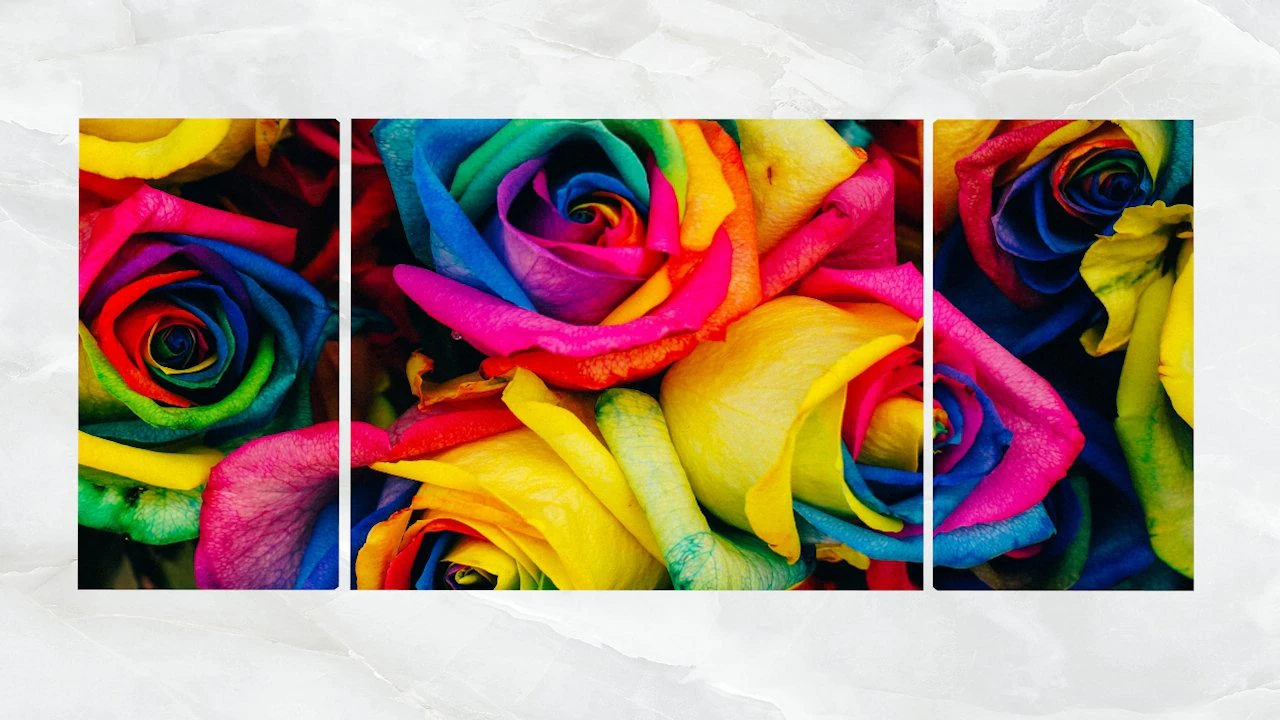 triptych wall art multicolored roses 3D Model .c4d .max .obj .3ds .fbx .stl .blend