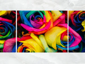 &uuml;&ccedil;l&uuml; duvar sanatı &ccedil;ok renkli g&uuml;ller 3D Model