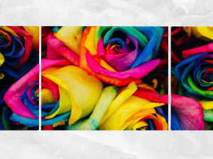 triptych wall art multicolored roses 3D Model