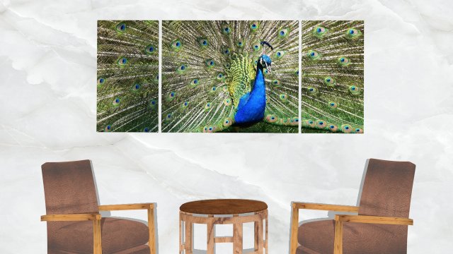 triptych wall art peacock 3D Model in Other 3DExport