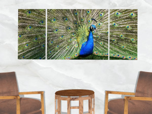 triptych wall art peacock 3D 模型