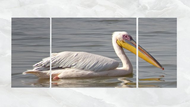 triptych wall art pelicans 3D Model .c4d .max .obj .3ds .fbx .stl .blend 