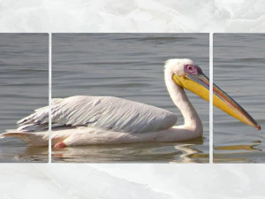 トリプティク ウォール アート ペリカン 3Dモデル