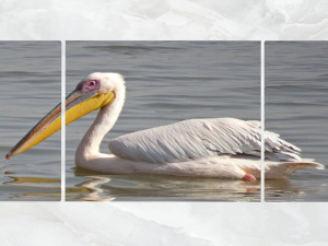triptych wall art pelicans 3D Model