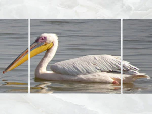 triptych wall art pelicans 3D Model