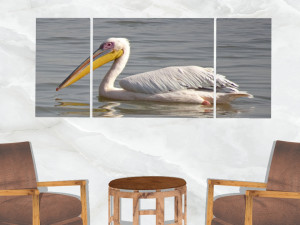 triptych wall art pelicans 3D Model