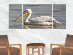 triptych wall art pelicans 3D Model