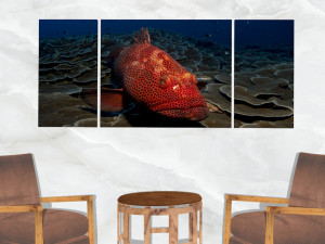 triptych wall art red grouper Model 3D