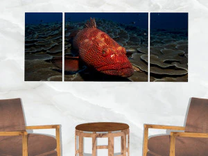 triptych wall art red grouper 3D Model