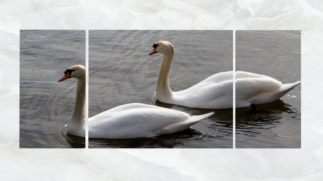 triptych wall art pair of swans 3D Модель .c4d .max .obj .3ds .fbx .stl .blend 