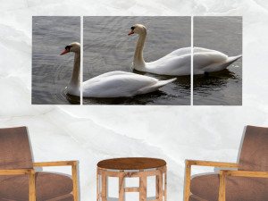 triptych wall art pair of swans 3D Модель