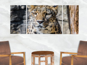 triptych wall art leopard portrait 3D Model