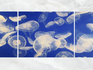 triptych wall art swarm of jellyfish 3D 모델
