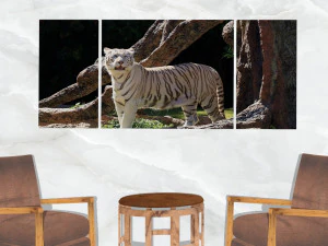 triptych wall art white tiger 3D Model
