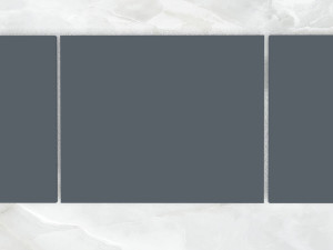 triptych wall art white tiger Model 3D