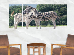 triptych wall art zebras Model 3D