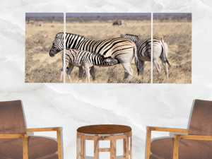 triptych wall art harem of zebras 3D Model