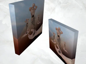 canvas art surreal disintegrating male figure 3D Model