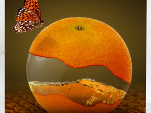 canvas art surreal orange fruit 3D 모델