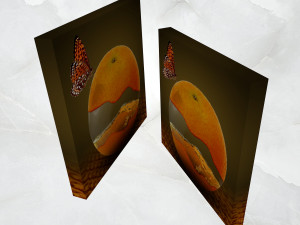 canvas art surreal orange fruit 3D 모델