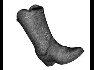 cowboy boots Modello di stampa 3D